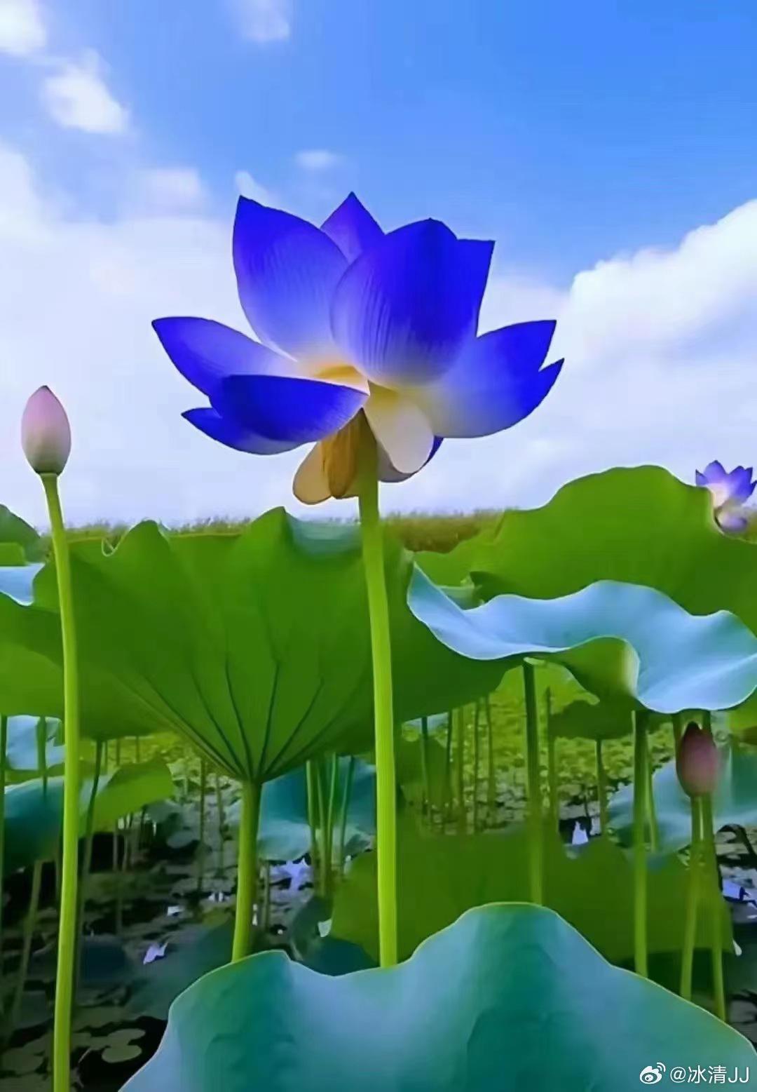 失眠者应走出心理怪圈